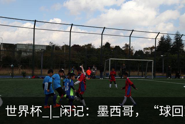 世界杯 | 闲记：墨西哥，“球回家了”