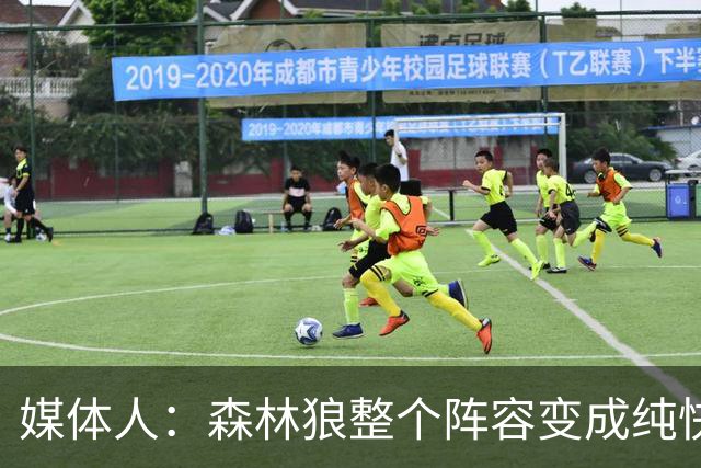 媒体人：森林狼整个阵容变成纯快节奏抢投了 球队也梭哈了